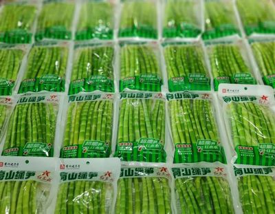 赤水市:竹業“串”起低碳路