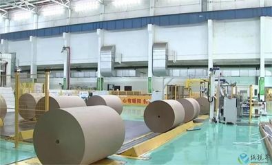 南方最大的生活用紙加工基地,南寧太陽帶動發展
