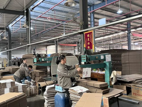 宇興包裝 做大做強荊州紙制品包裝產業