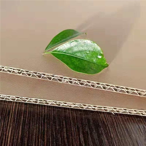 紙盒包裝 思信科技信得過企業 紙盒包裝價格