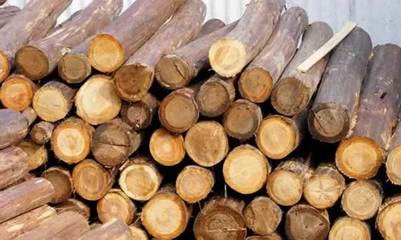 深度解析木制品行業的5大特點,及森林認證對其的影響